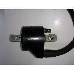Ignition coil Cagiva Roadster 521