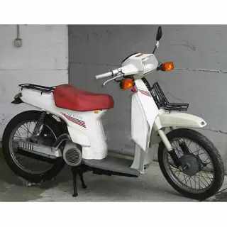 Honda Scoopy SH 50